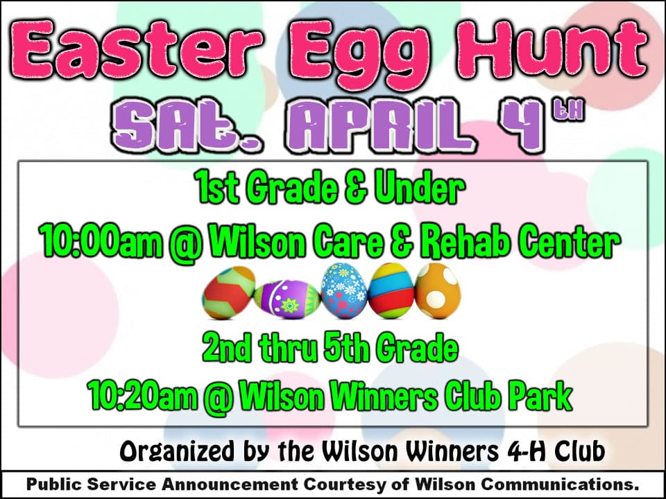 Easter Egg Hunt \- Wilson